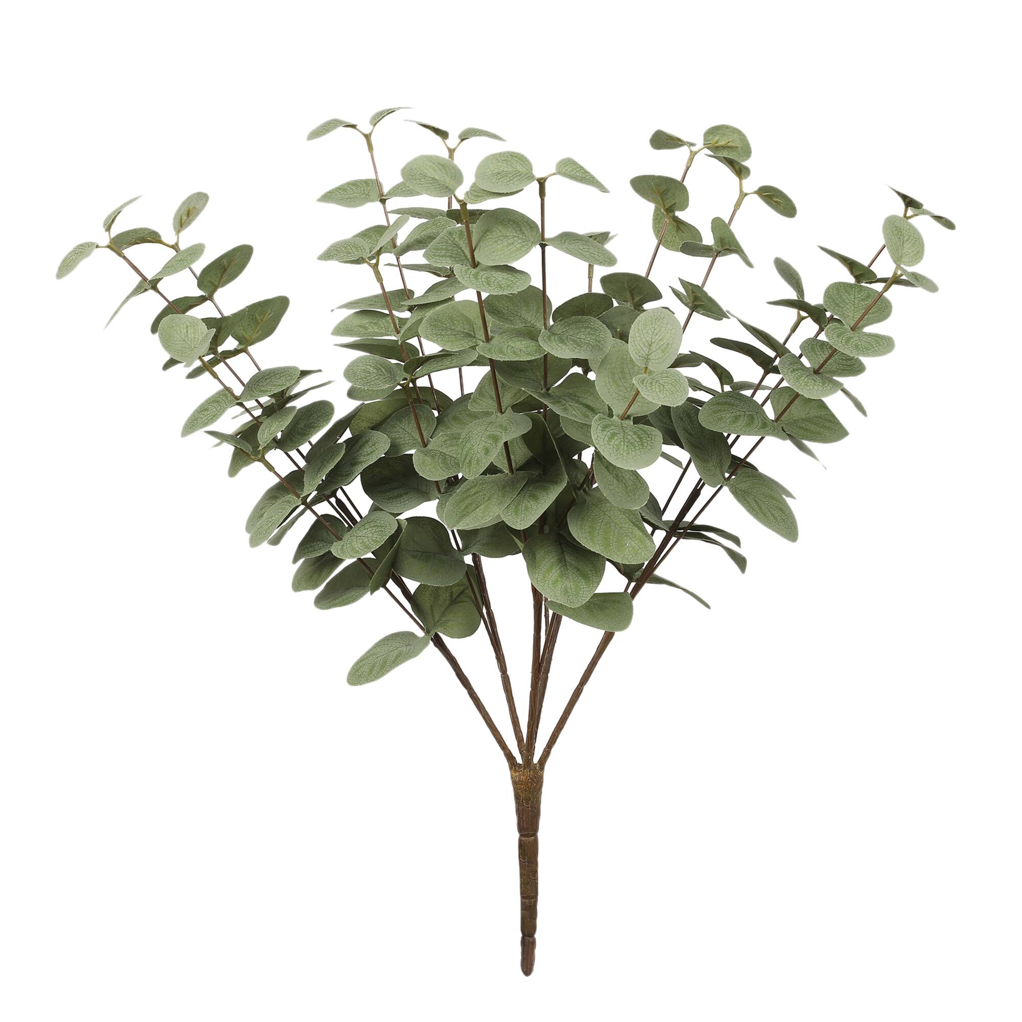 6 Pack: 18" Eucalyptus Bush by Ashland®